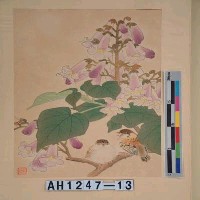 藏品(昭和11年『翠光花鳥版畫集』－桐花小禽)的圖片